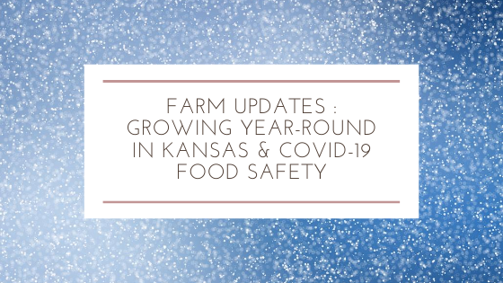 Farm Updates : Growing Year-Round in Kansas & Covid-19 Food Safety