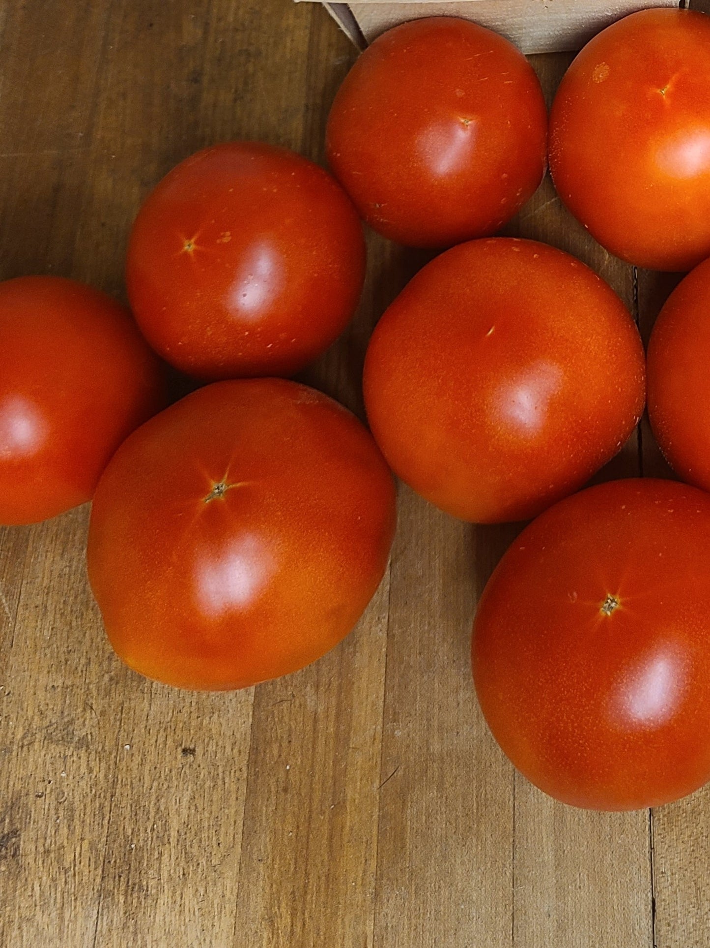Early Girl Tomato