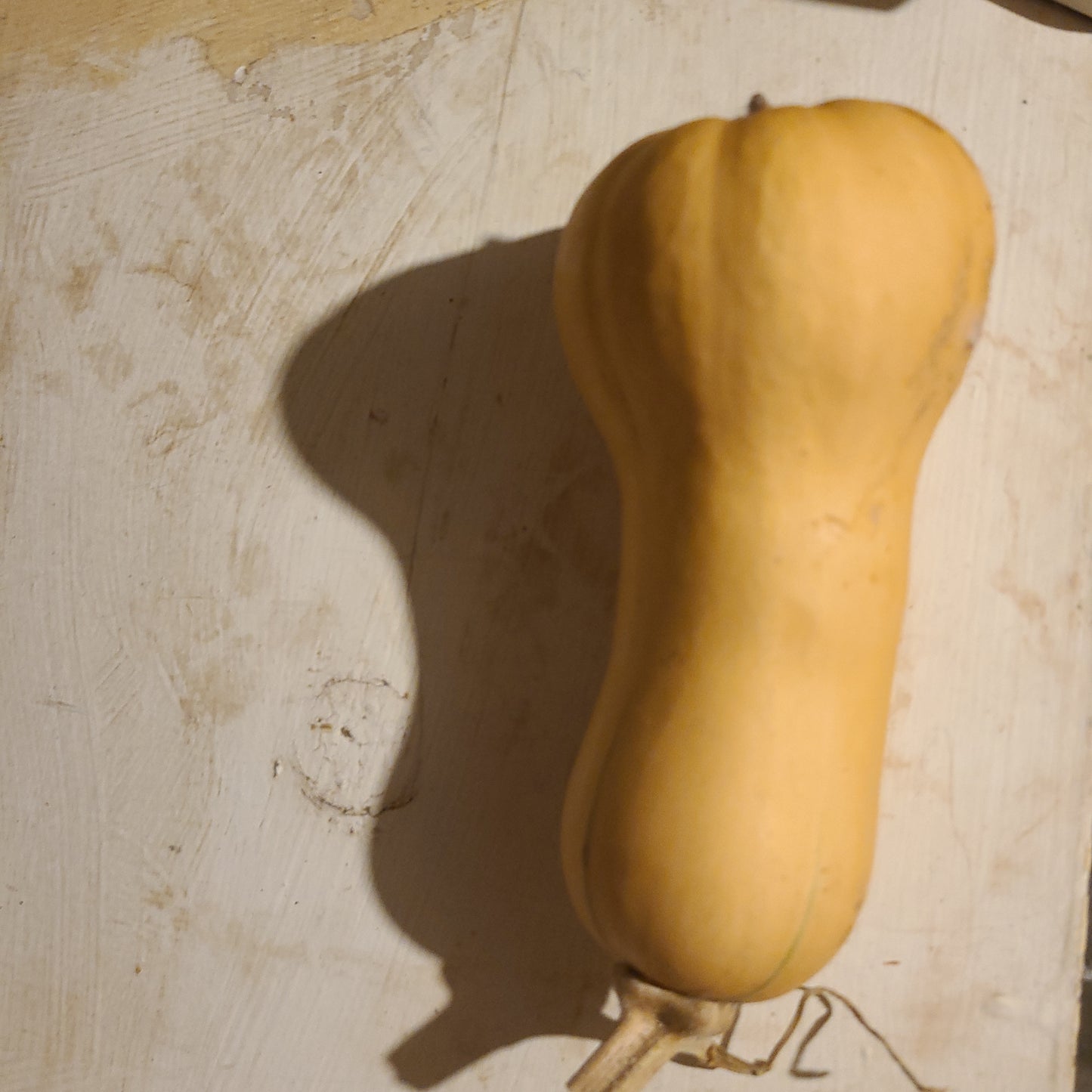 Honey Nut Butternut Squash