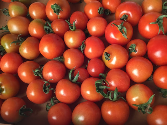 Tommy Toe Tomatoes