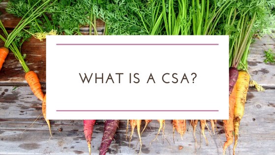 What is CSA? Community Support Agriculture and Its Benefits to You and Your Local Farmer