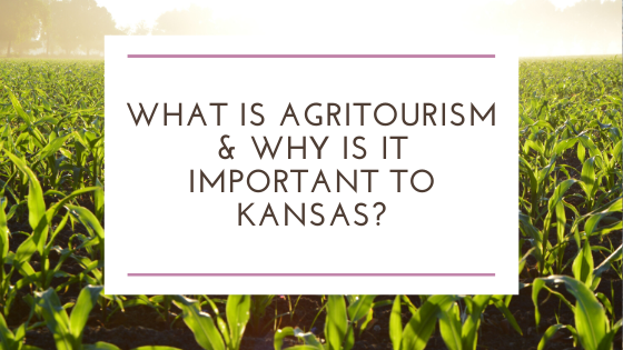 What is Agritourism & Why is it Important to Kansas?