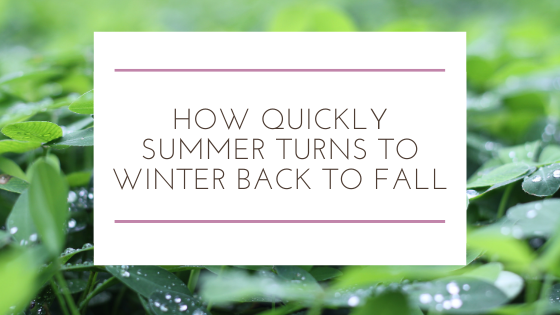 How Quickly Summer Turns to Winter Back to Fall