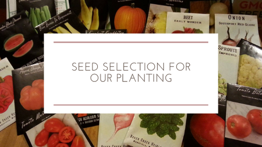 Seed Selection for Our Planting