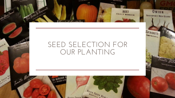 Seed Selection for Our Planting