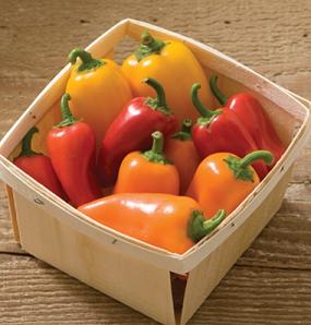 Lunchbox Pepper Wholesale