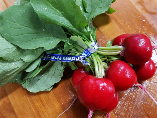 Red Satin Radishes