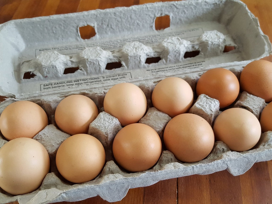 Pasture-Raised Chicken Eggs