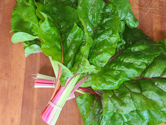 Bright Lights Swiss Chard