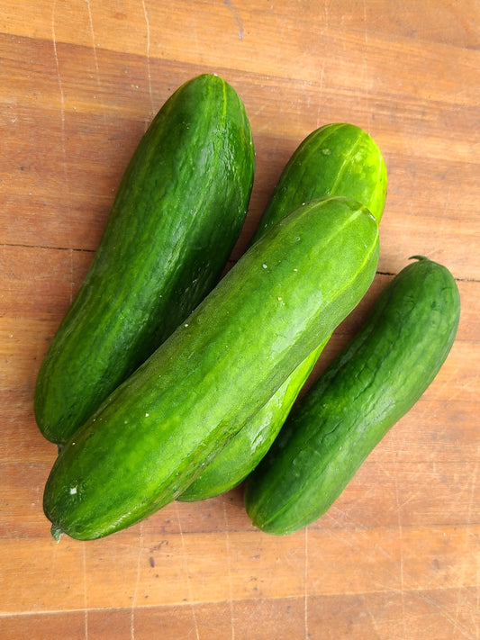 Diva Cucumbers